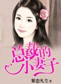 總裁的小妻子